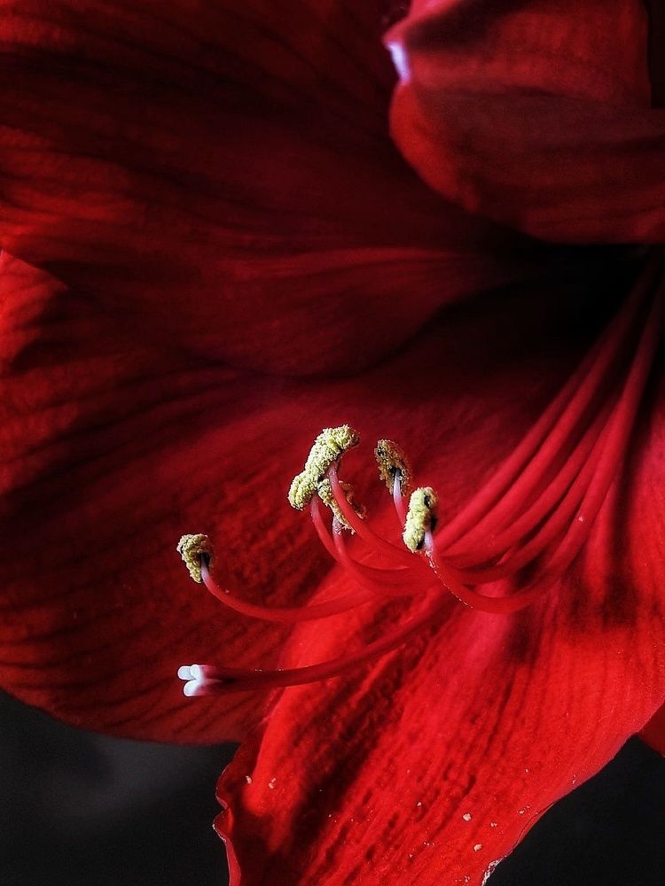 Photograph by Марина Мальцева