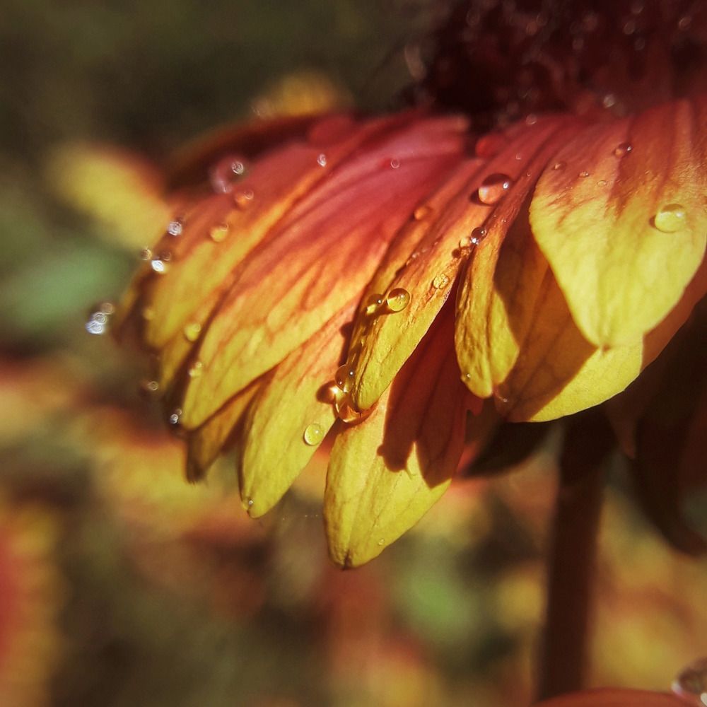 Photograph by Марина Мальцева