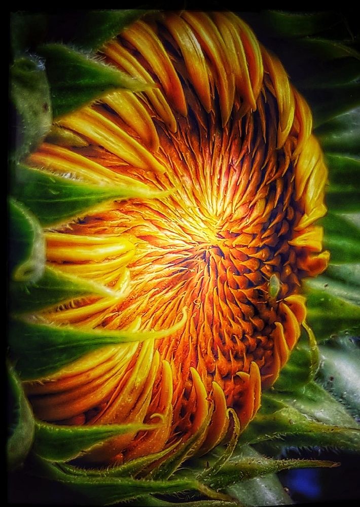 Photograph by Марина Мальцева