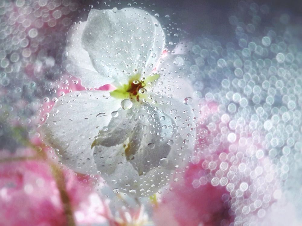 Photograph by Марина Мальцева