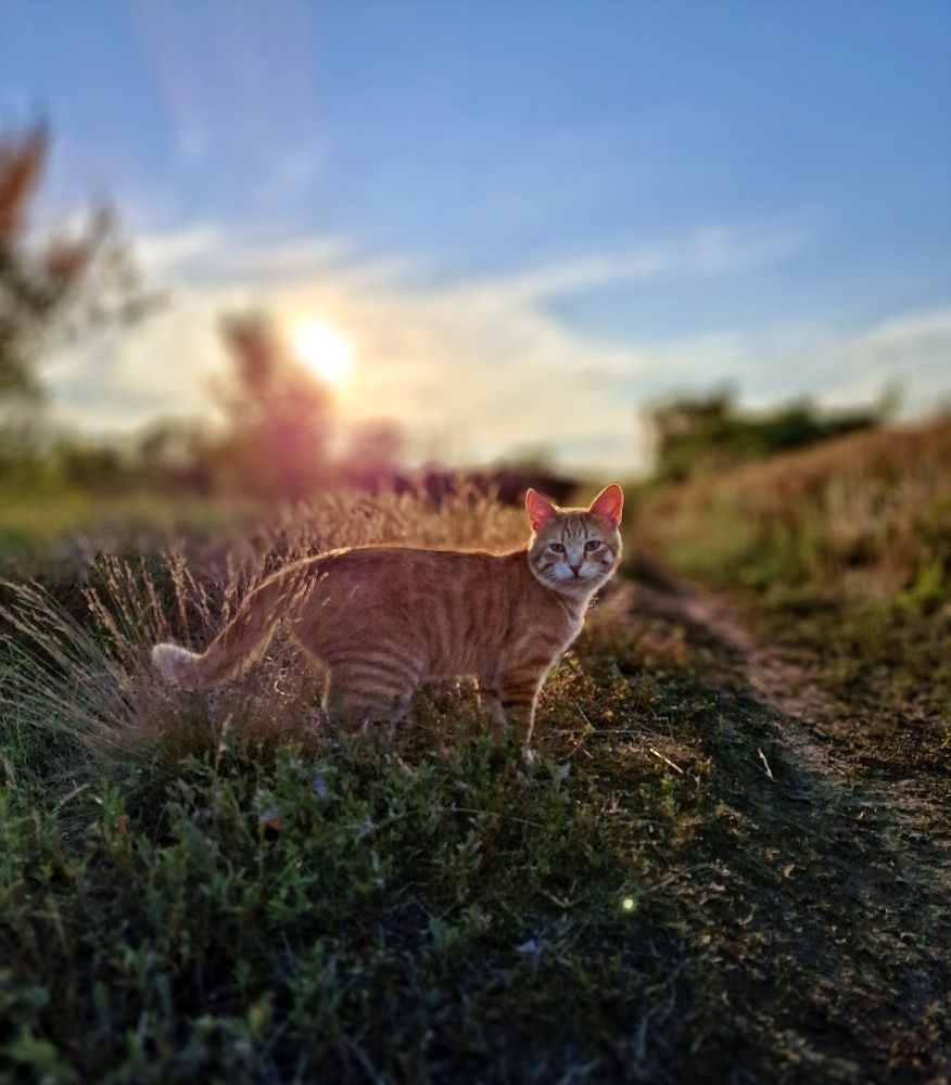 Photograph by Марина Мальцева