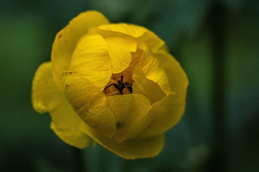 Photograph by Николай Путинцев