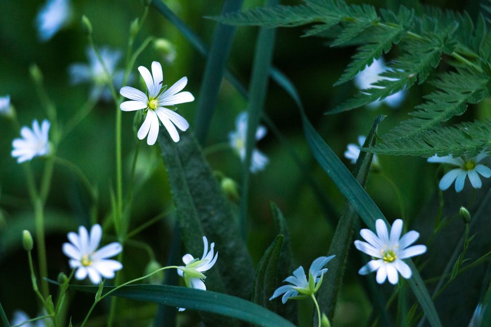 Photograph by Николай Путинцев