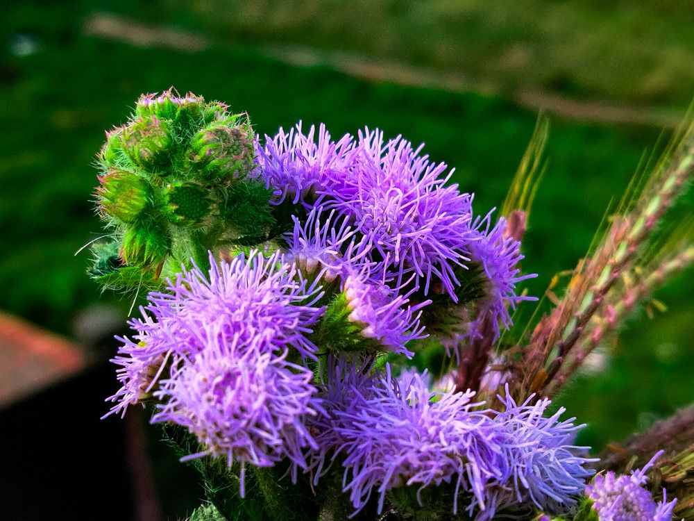 Photograph by Batool Sana