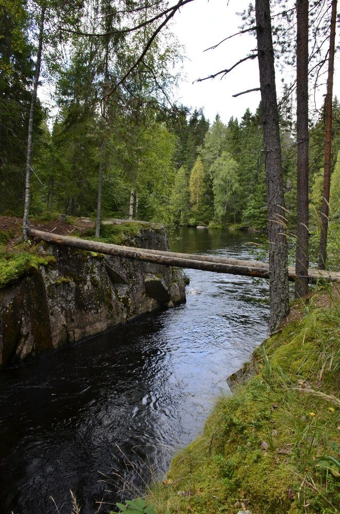 Photograph by Николай Соколовский