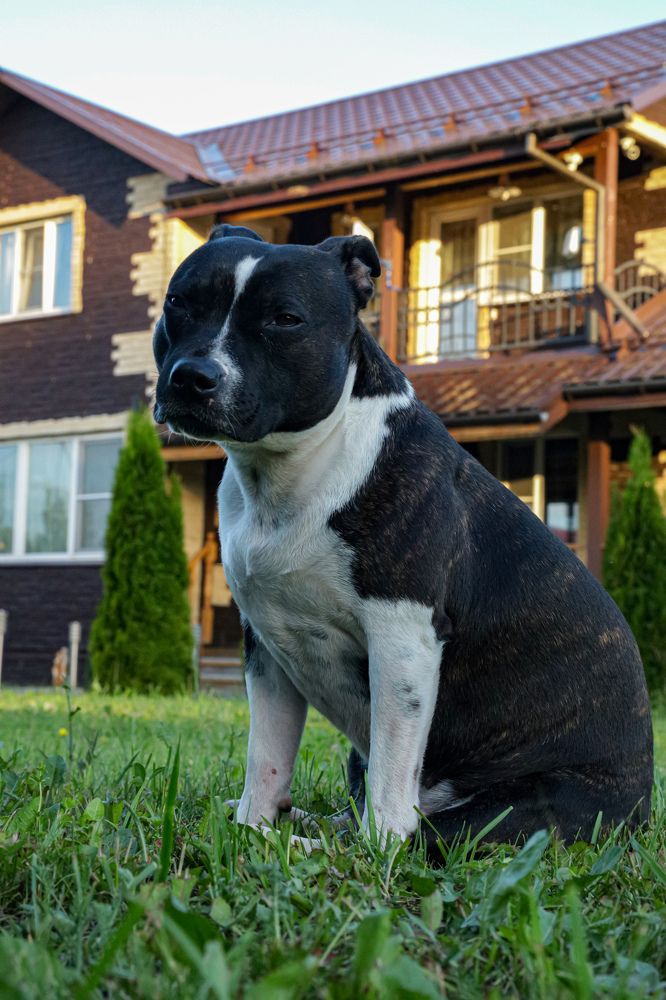 Photograph by Сергей Колышев