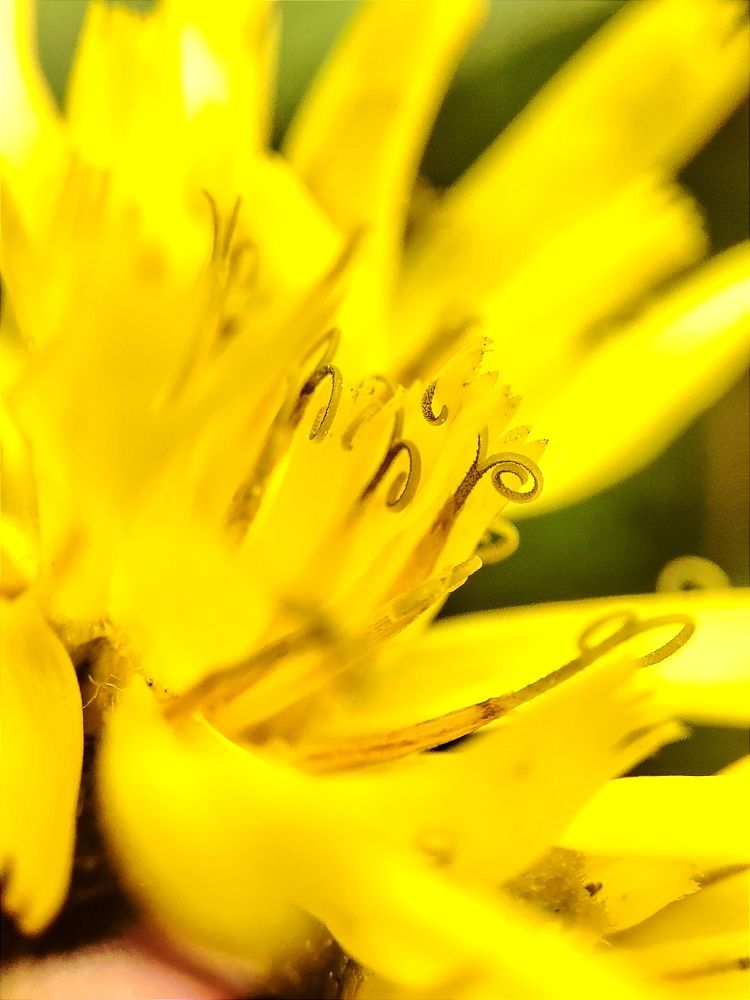 Photograph by Юлия Гинтер