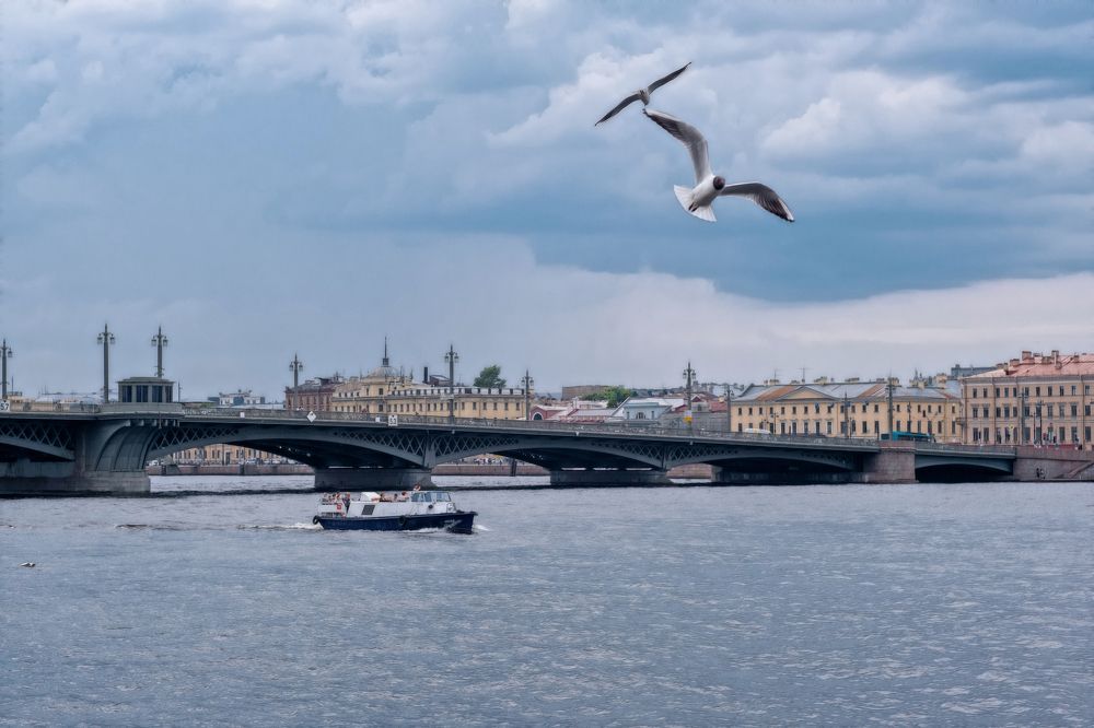 Photograph by Александр Стрельченко