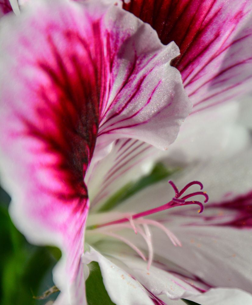 Photograph by Ольга Андронова