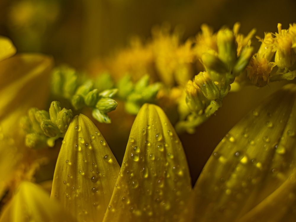 Photograph by Дмитрий Давидов