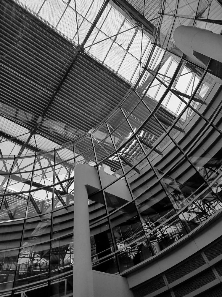 Photograph by Root Dariia