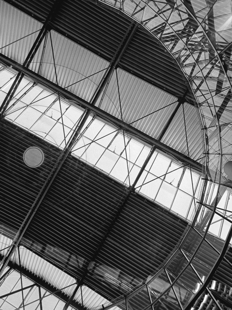 Photograph by Root Dariia