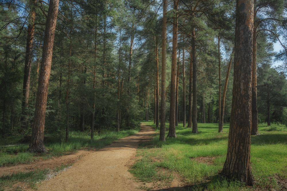 Photograph by Александр Быстров