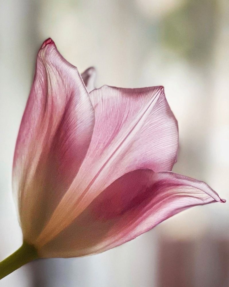 Photograph by Татьяна Волохова