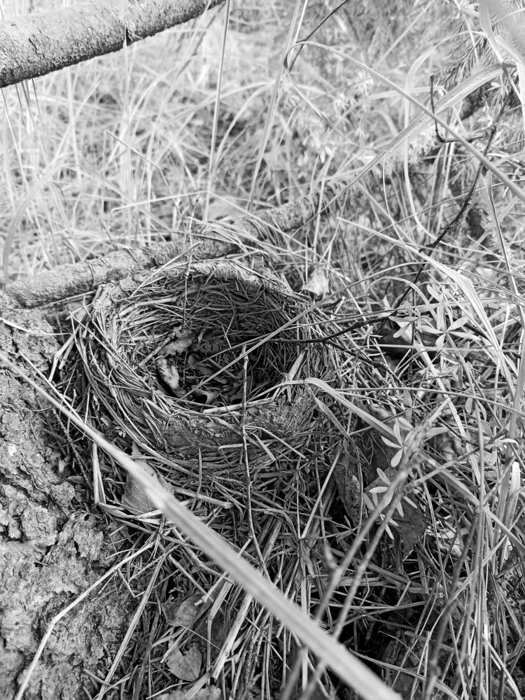 Photograph by Анна Виноградова