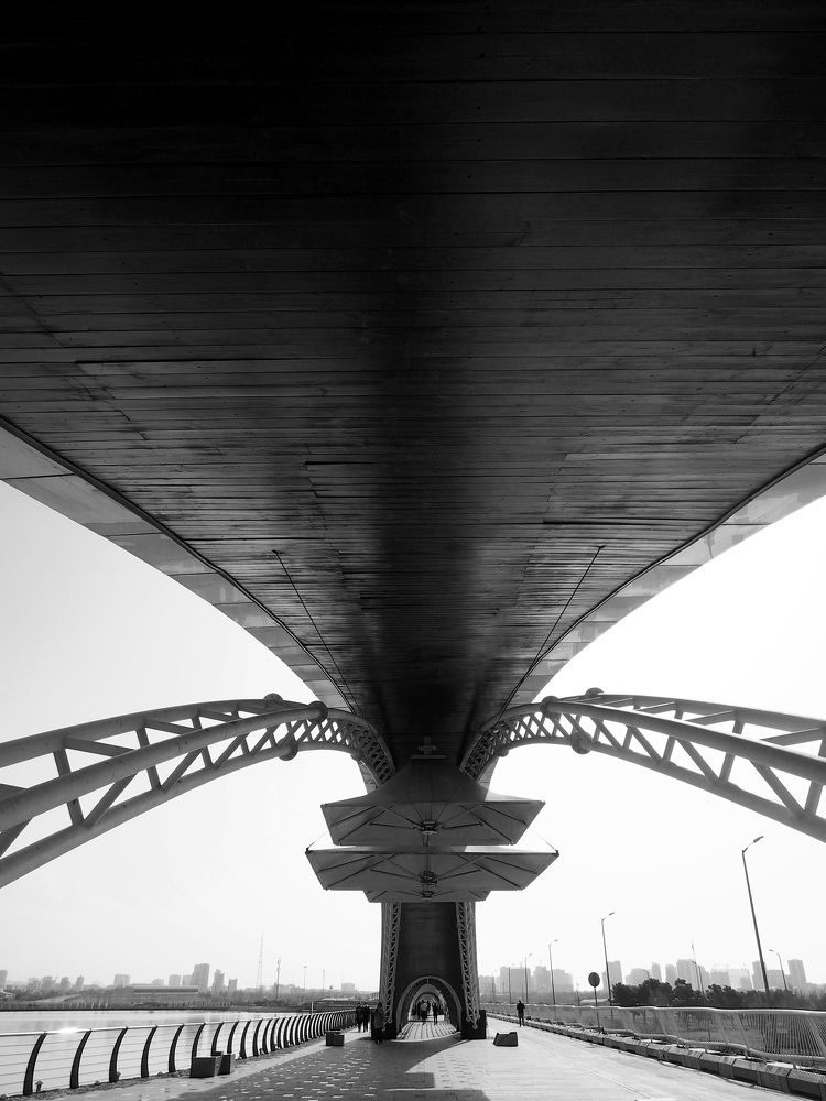 Photograph by Abdolreza Aleagha