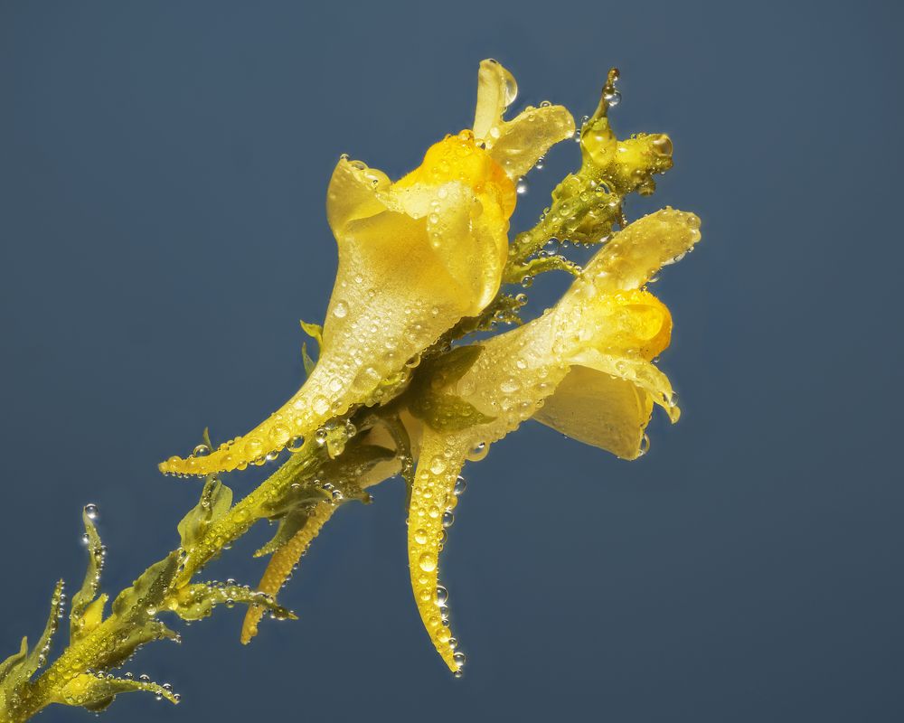 Photograph by Вышарь Максим