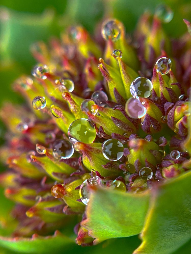 Photograph by Татьяна Михайловна