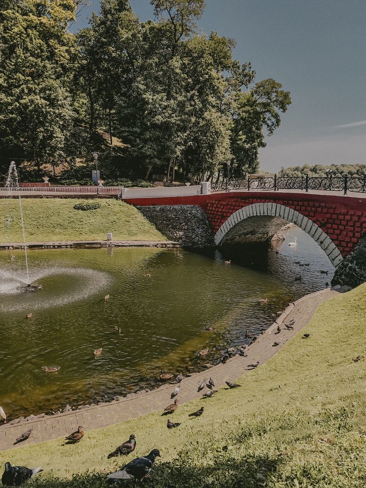 Фотография автора Любовь