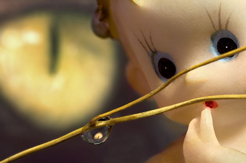 Фотография автора Борис Журавлёв