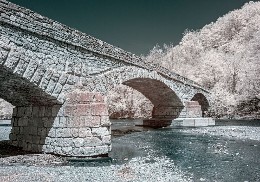 Photograph by Сергей Христинич