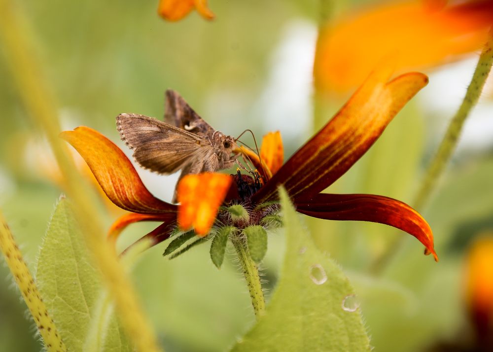 Фотография автора Станислава Гордеева