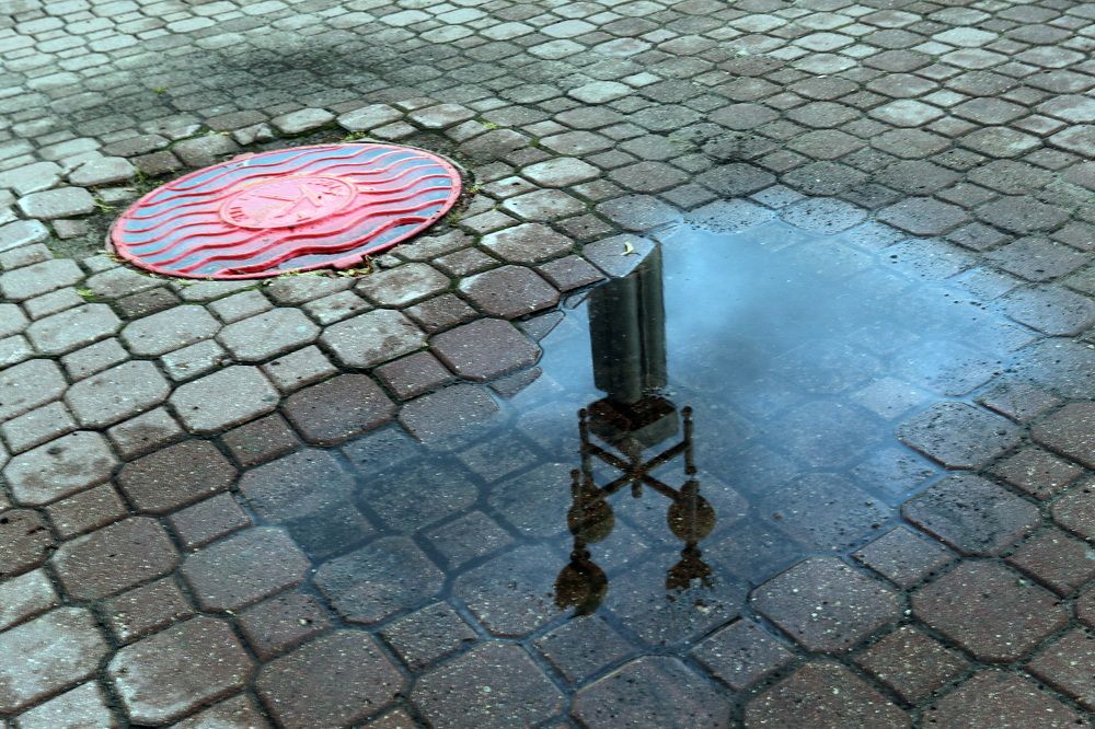 Фотография автора Колосова Елена