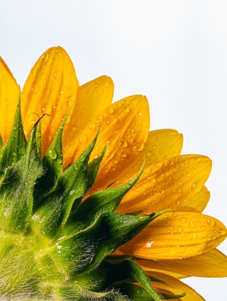 Photograph by Ярослав Старк