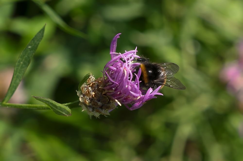 Photograph by Дима Скрипачев