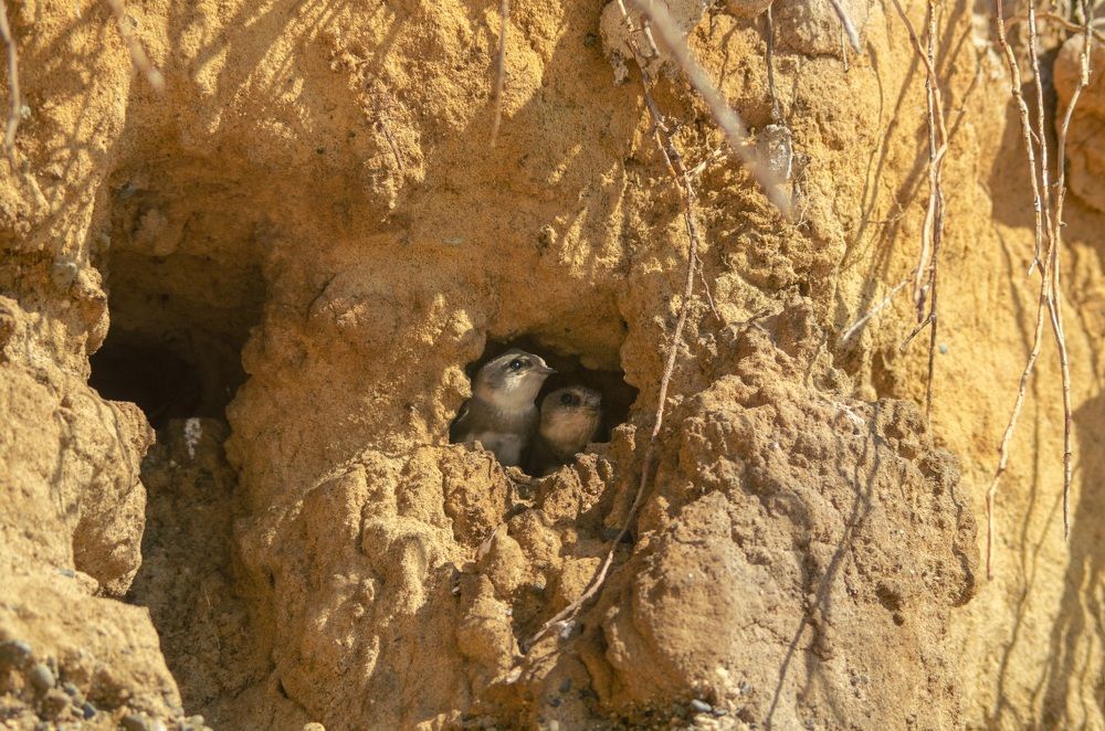 Photograph by Денис Рокин