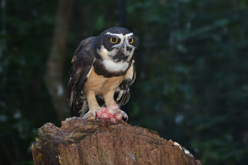 Photograph by Vitaliy