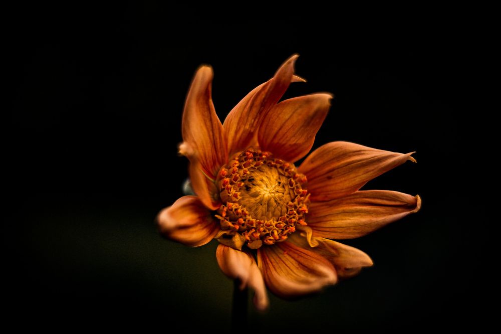 Фотография автора Владимир Кириллов