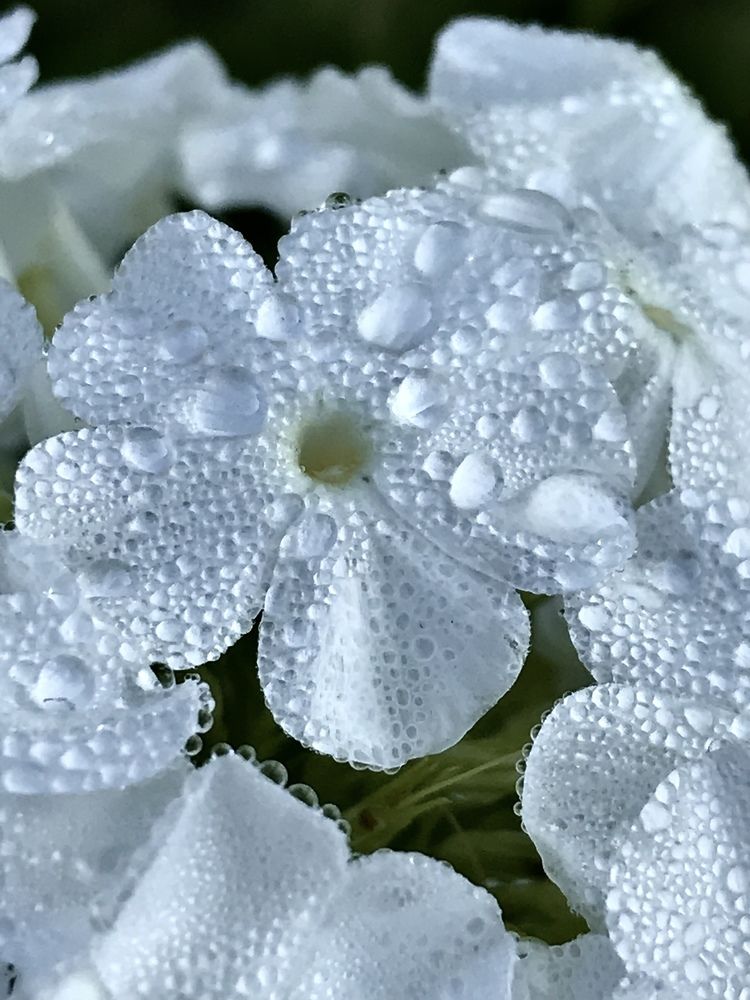 Photograph by Надежда Ткаченко