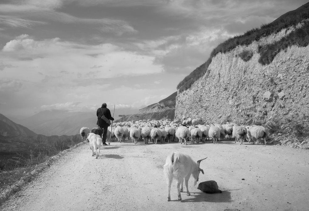 Photograph by Руслан Гончар