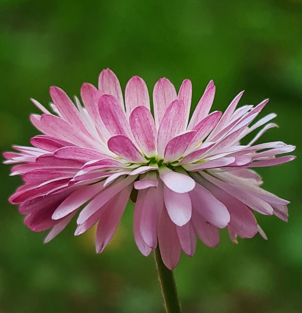 Photograph by Ольга Платонова