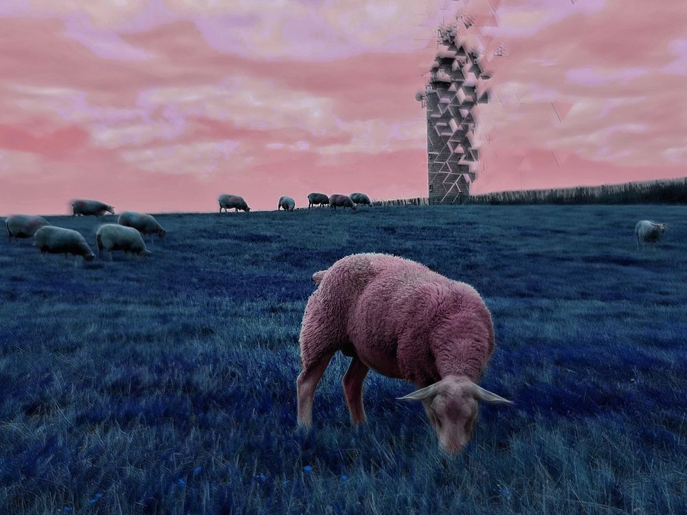 Photograph by Анастасия Куэлляр