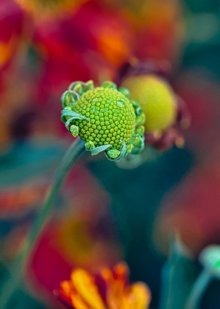 Photograph by Oxana Petlina