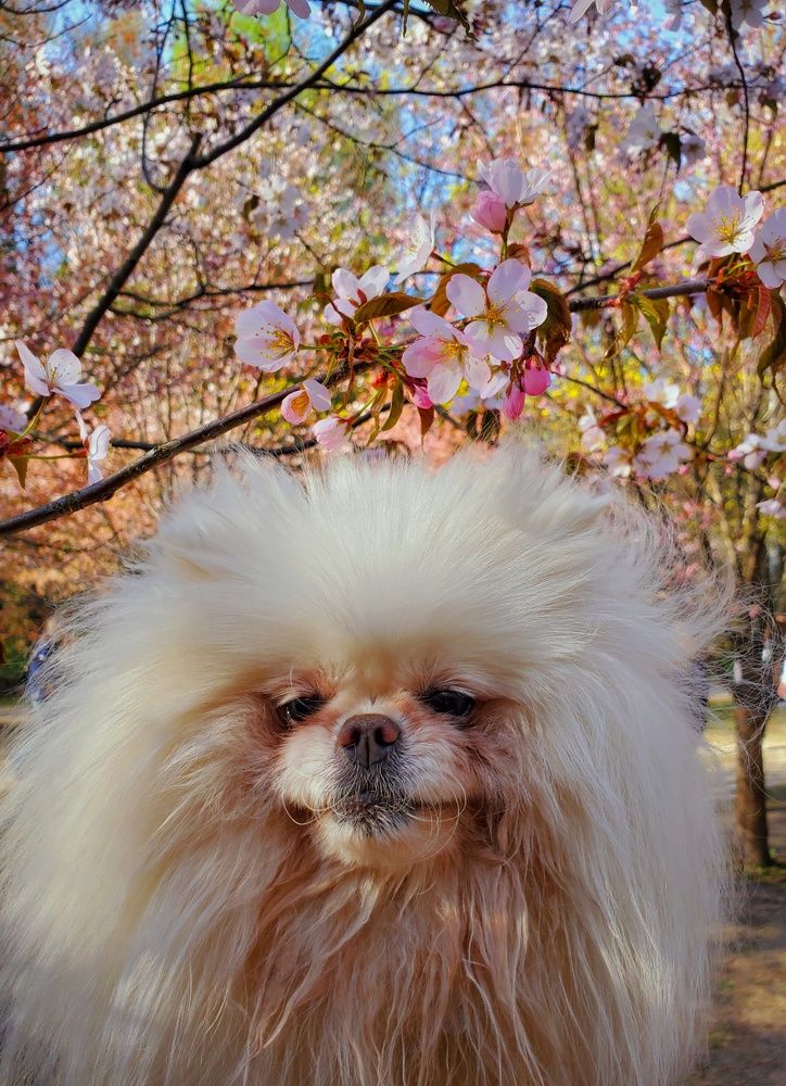 Photograph by Марина Зугрина