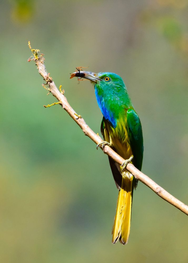 Photograph by Sathishkumar S