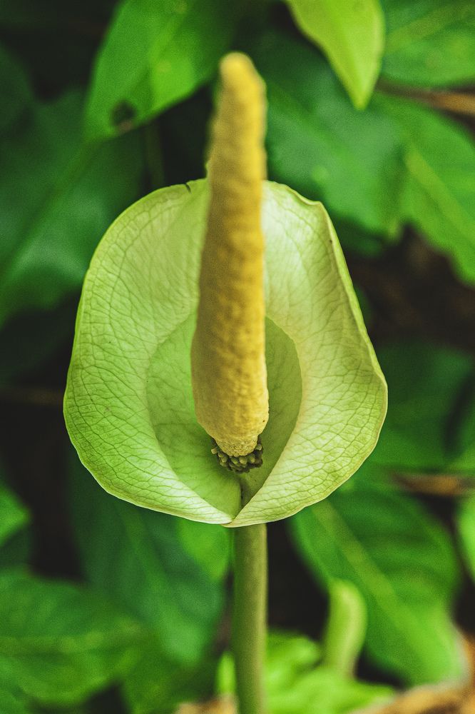 Photograph by Marcel AHONDO