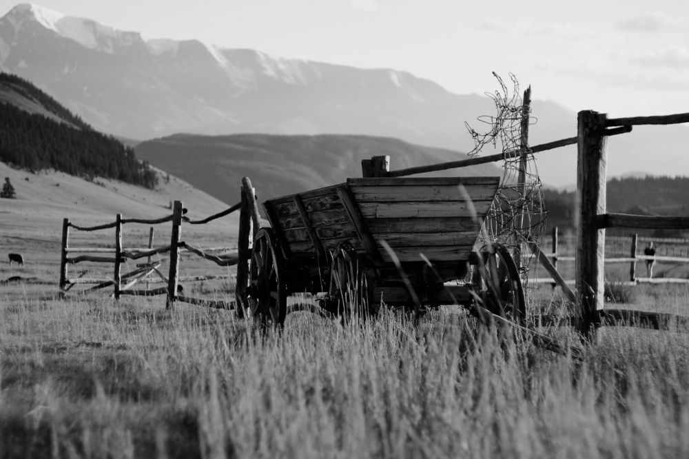 Photograph by Константин