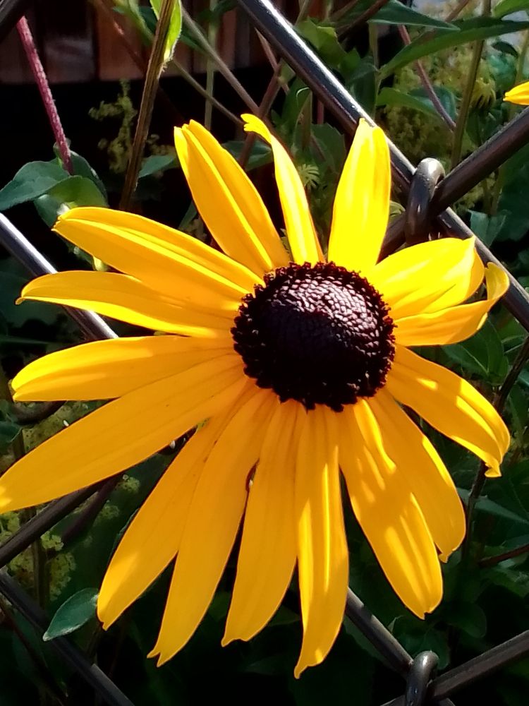 Photograph by Irina Mihailovskaya