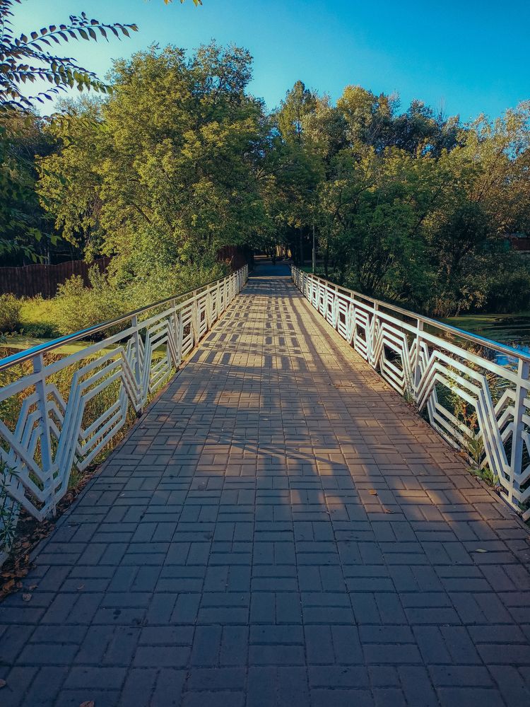 Фотография автора Татьяна Шахова