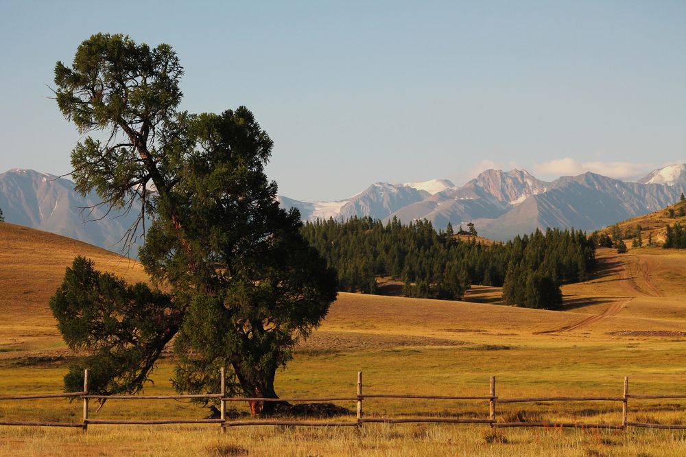 Photograph by Константин