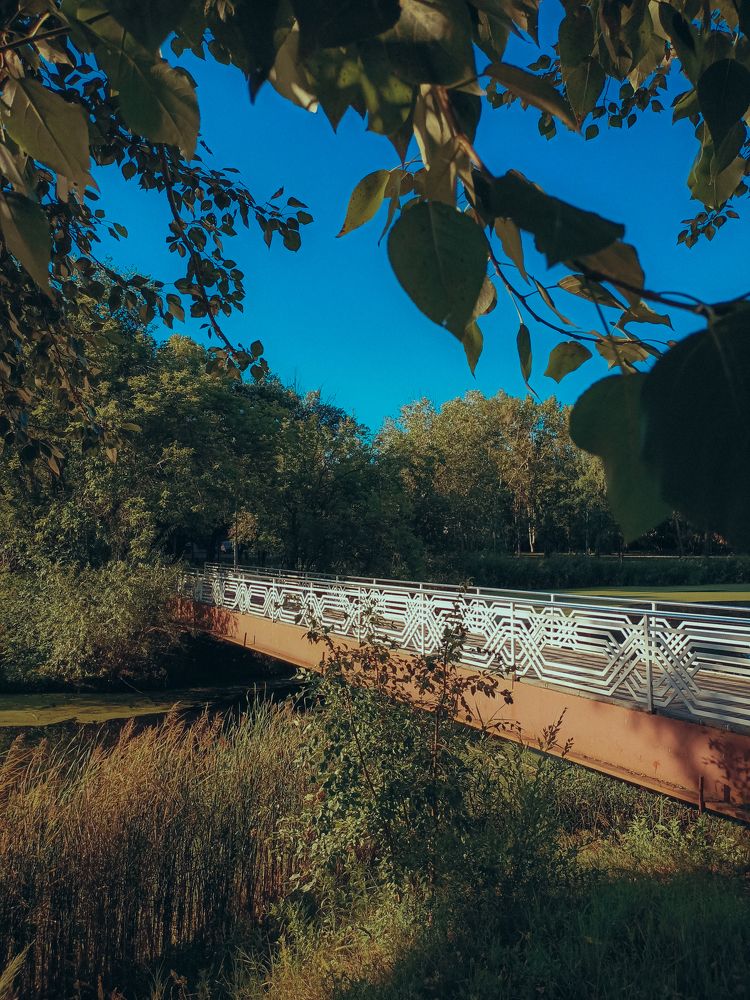 Фотография автора Татьяна Шахова