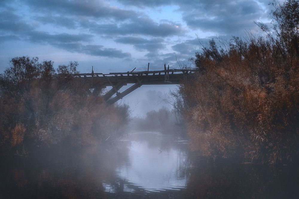 Photograph by Юлия Лушникова