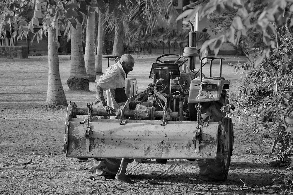 Photograph by Romanov Vyacheslav