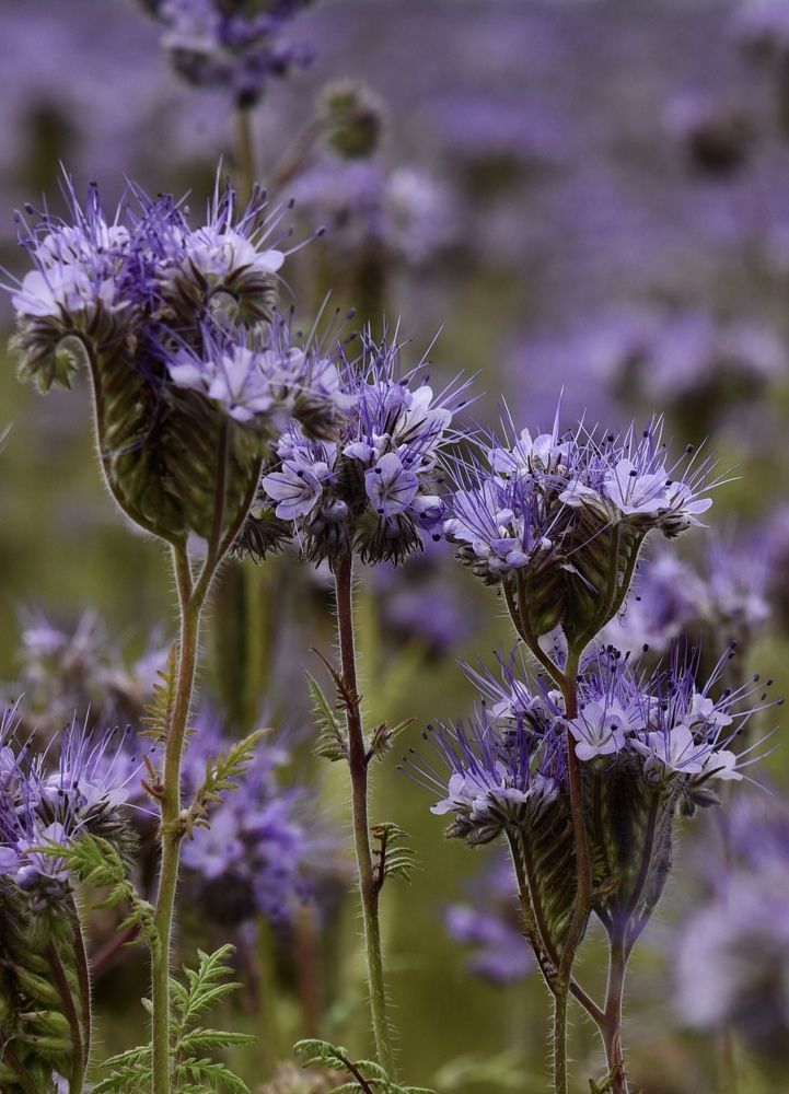 Photograph by Ольга Струкалина