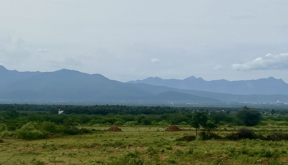 Photograph by Prabhu Viswanathan