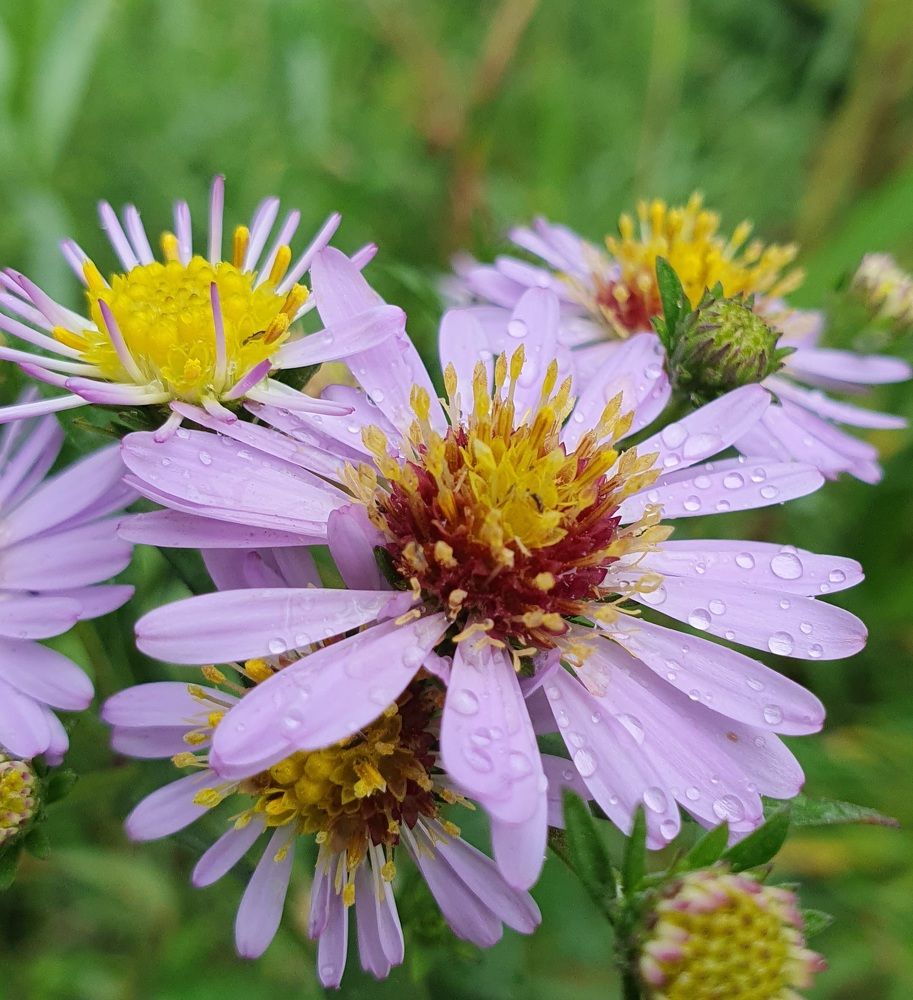 Photograph by Жанна Регор